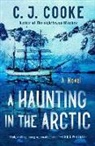 C J Cooke, C. J. Cooke - A Haunting in the Arctic