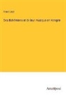 Franz Liszt - Des Bohémiens et de leur musique en Hongrie