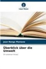 Jean Nanga Maniane - Überblick über die Umwelt