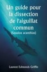 Laurent Edmonds Griffin - Un guide pour la dissection de l'aiguillat commun (Squalus acanthias )