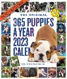 Workman Calendars - 365 Puppies a Year Calendar 2023