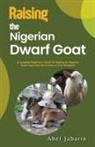 Abel Jabarin - Raising the Nigerian Dwarf Goat