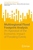 Guan, Dabo Guan, David Mendoza-Tinoco, Alfonso Mercado-Garcia - Multiregional Flood Footprint Analysis
