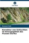Essoussi Iheb - Korrektur von Schluchten im Einzugsgebiet des Flusses Ourika