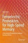 Taku Onishi - Ferroelectric Perovskites for High-Speed Memory