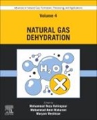 Mohammad Amin Makarem, Mohammad Amin (Research Associate Makarem, Maryam Meshksar, Maryam (Research Associate Meshksar, Mohammad Reza Rahimpour, Mohammad Reza Rahimpour... - Advances in Natural Gas: Formation, Processing, and Applications. Volume 4: Natural Gas Dehydration