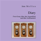 Jens Mellies - Diary