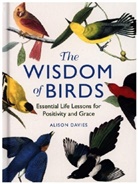 Alison Davies - The Wisdom Of Birds