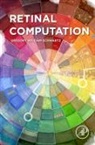 Greg Schwartz - Retinal Computation