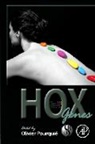 Olivier (EDT) Pourquie, Olivier Pourquie - Hox Genes