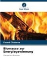 Foued Chabane - Biomasse zur Energiegewinnung