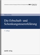 Raymond Halaczinsky - Die Erbschaft- und Schenkungsteuererklärung