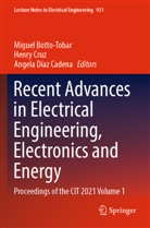 Miguel Botto-Tobar, Henry Cruz, Angela Díaz Cadena - Recent Advances in Electrical Engineering, Electronics and Energy