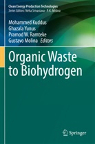 Mohammed Kuddus, Gustavo Molina, Pramod W. Ramteke, Pramod W Ramteke et al, Ghazala Yunus - Organic Waste to Biohydrogen