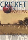 Andrew Hignell, Hignell Andrew - Cricket in Wales