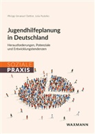 Philipp-Emanuel Oettler, Julia Pudelko - Jugendhilfeplanung in Deutschland