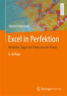 Harald Nahrstedt - Excel in Perfektion