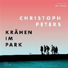 Christoph Peters, Axel Wostry - Krähen im Park, 6 Audio-CD (Audio book)