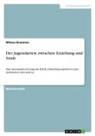Milena Brammer - Der Jugendarrest zwischen Erziehung und Strafe