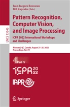 Kapralos, Bill Kapralos, Jean-Jacques Rousseau - Pattern Recognition, Computer Vision, and Image Processing. ICPR 2022 International Workshops and Challenges
