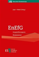 Asmus Nebel (Dr.), Lars Jope, Julian Asmus Nebel - EnEfG
