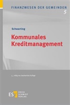 Gunnar Schwarting, Gunnar (Prof. Dr.) Schwarting - Kommunales Kreditmanagement