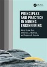 Ishwardas L. Muthreja, Abhay Kumar Soni, Abhay Kumar Muthreja Soni, Rajendra R. Yerpude - Principles and Practice in Mining Engineering