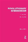 Beverley Male, Male Beverley - Revolutionary Afghanistan