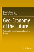 Elena G Popkova, Elena G. Popkova, S Sergi, Bruno S. Sergi - Geo-Economy of the Future, 2 Teile