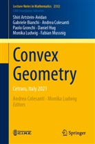 Shiri Artstein-Avidan, Gabriele Bianchi, Colesanti, Andrea Colesanti, Paolo Gronchi, Daniel Hug... - Convex Geometry