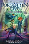 Lisa McMann - Rebel Undercover (The Forgotten Five, Book 3)