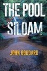John Goddard - The Pool of Siloam