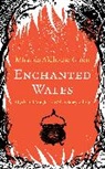 Miranda Aldhouse-Green, Aldhouse-Green Miranda - Enchanted Wales
