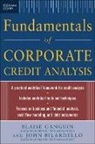 Ganguin, Blaise Ganguin, Ganguin Blaise - Standard & Poor's Fundamentals of Corporate Credit Analysis (PB)