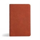Holman Bible Publishers - NASB Personal Size Bible, Burnt Sienna Leathertouch