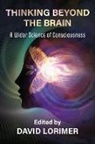 David Lorimer - Thinking Beyond the Brain