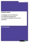Jacqueline Sander - Grundlagen des betrieblichen Gesundheitsmanagements. Unternehmenspolitik, Gesetze und Standards