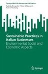 Sa Ashong, Samuel Ashong, Silvia Biffignandi, Fabiola Riccardini - Sustainable Practices in Italian Businesses