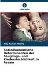 Ritu Kumar Mishra - Sozioökonomische Determinanten der Säuglings- und Kindersterblichkeit in Assam