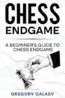 Gregory Galaev - Chess Endgame