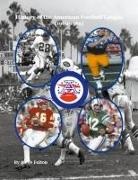 Steve Fulton - History of the American Football League {1960-1969}