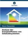 Shyryn Mausymbek - Analyse der Energieeffizienz von Gebäudesystemen
