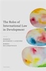 Siobhan McInerney-Lankford, Siobhan (Senior Counsel Mcinerney-Lankford, Robert McCorquodale, Siobhan McInerney-Lankford, McInerney-Lankford Siobhan - Roles of International Law in Development