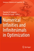 Yaroslav D Sergeyev, De Leone, Renato De Leone, Yaroslav D. Sergeyev - Numerical  Infinities and Infinitesimals in Optimization