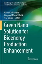 Maqsood Ahmad Malik, P K Mishra, Maqsood Ahmad Malik, P. K. Mishra, Manish Srivastava - Green Nano Solution for Bioenergy Production Enhancement