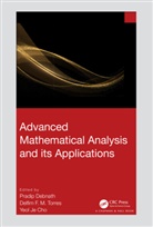 Pradip Torres Debnath, Yeol Je Cho, Cho Yeol Je, Pradip Debnath, Delfim F. M. Torres, Torres Delfim F. M. - Advanced Mathematical Analysis and Its Applications