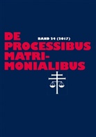 Elmar G&uuml;thoff, Karl-Heinz Selge - De processibus matrimonialibus