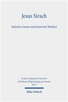 Markus Asper, Christine Ganslmayer, Gerhar Karner, Markus Witte - Jesus Sirach, Jüdisches Gesetz und kosmische Weisheit
