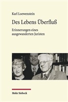 Karl Loewenstein, Robert Chr van Ooyen, Oliver Lepsius, Robert Chr. van Ooyen, Frank Schale, Robert Chr. van Ooyen - Des Lebens Überfluß