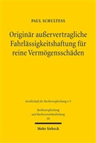 Paul Schulteß - Originär außervertragliche Fahrlässigkeitshaftung für reine Vermögensschäden